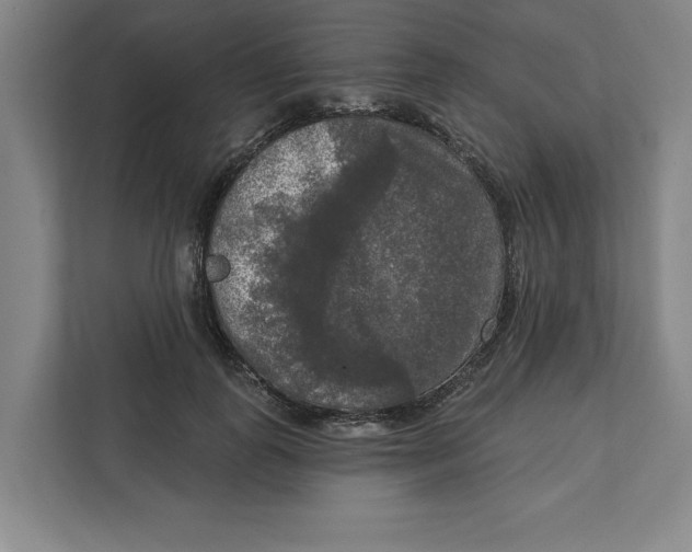 X0000112350747200909101043