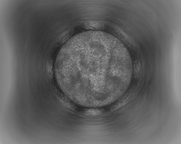 X0000112350749200909101043