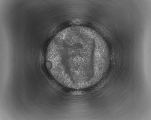 X0000112350751200909101043