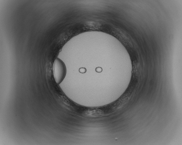 X0000112350752200909101043