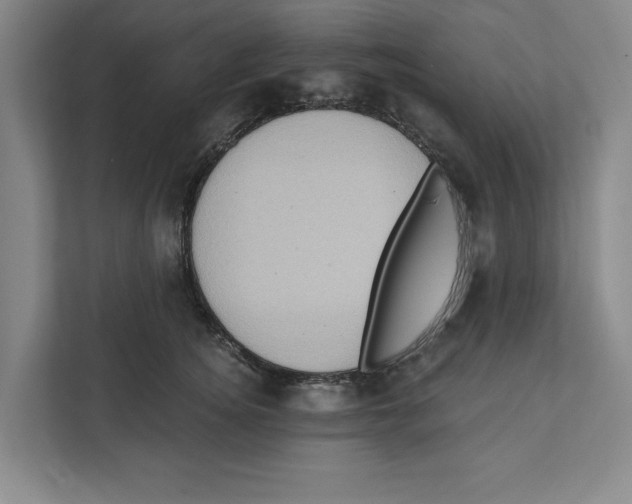 X0000112350756200909101043