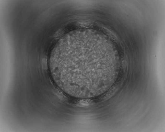 X0000112350757200909101043