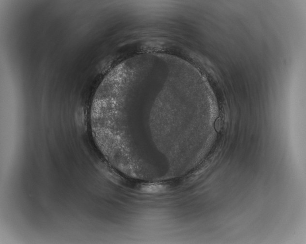 X0000112350759200909101043