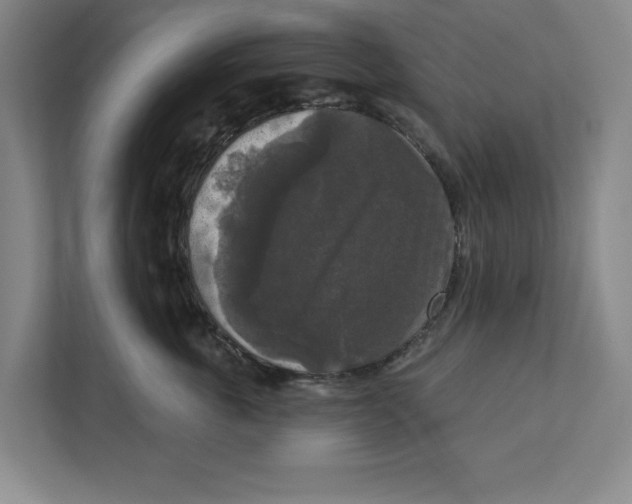 X0000112350763200909101043