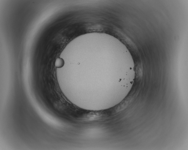 X0000112350764200909101043