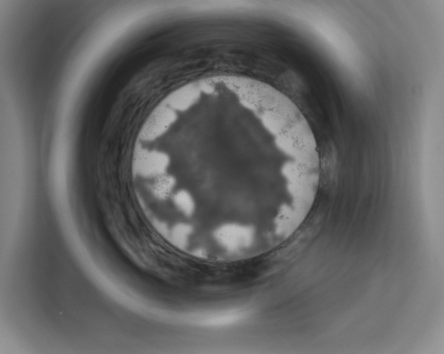 X0000112350765200909101043