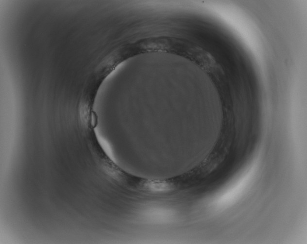 X0000112350767200909101043