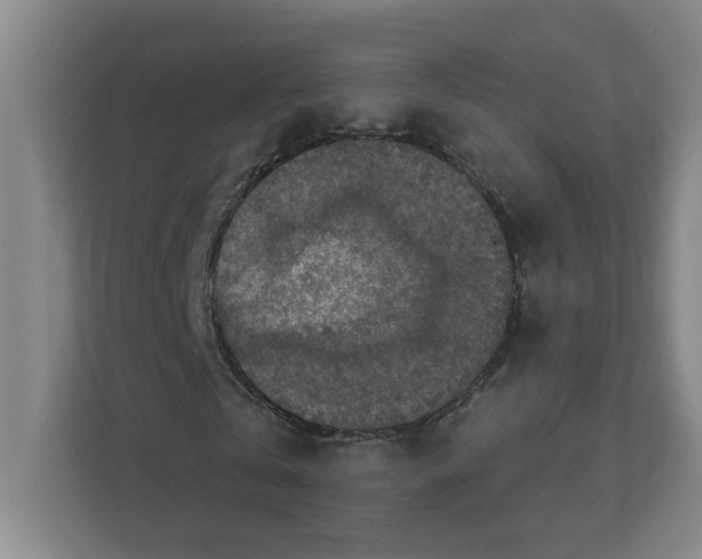 X0000112350769200909101042