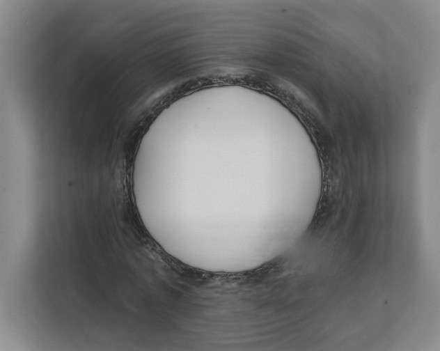 X0000112350773200909101042