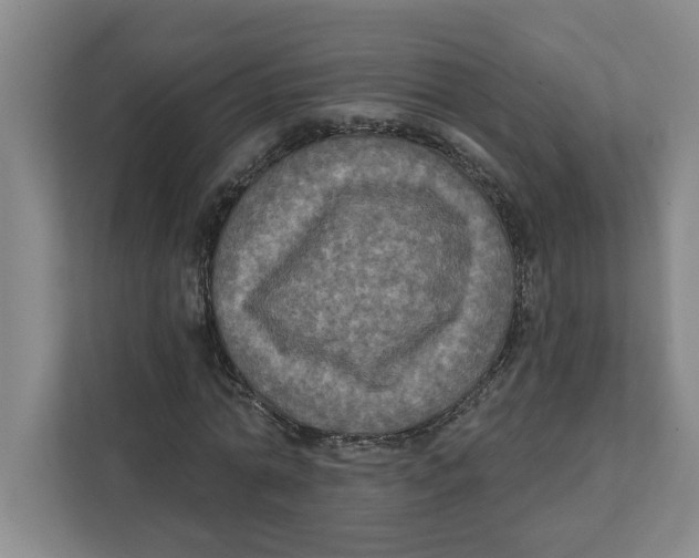 X0000112350774200909101042