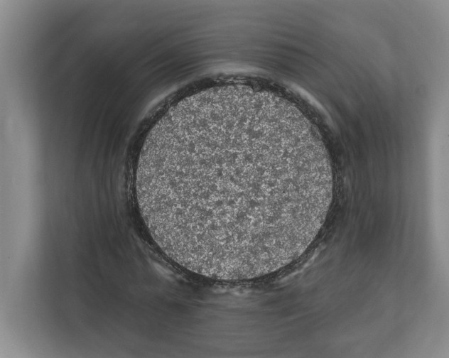 X0000112350775200909101042