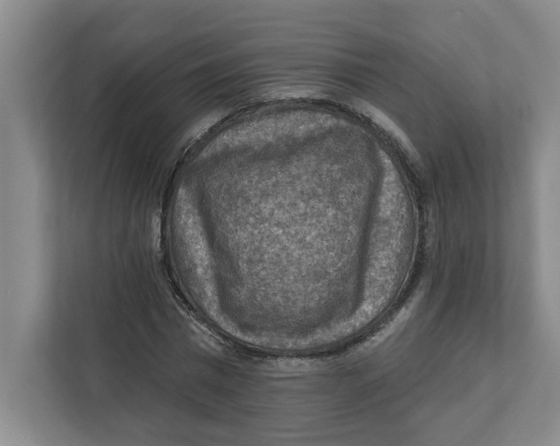 X0000112350777200909101042