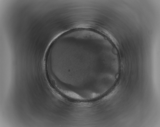 X0000112350779200909101042