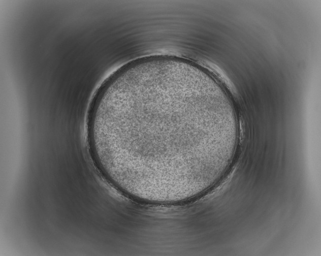 X0000112350780200909101042