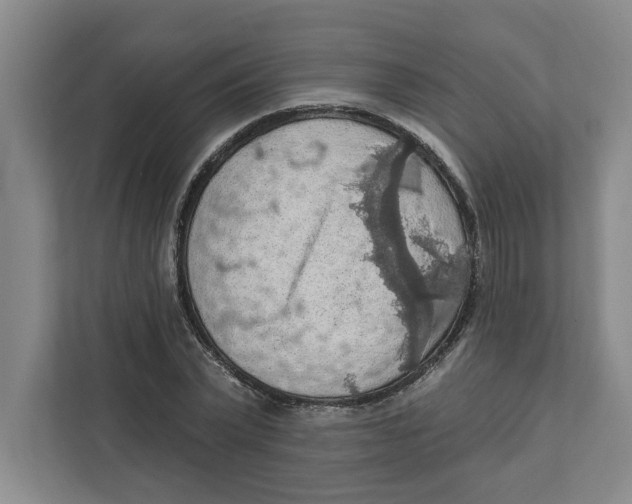 X0000112350783200909101042