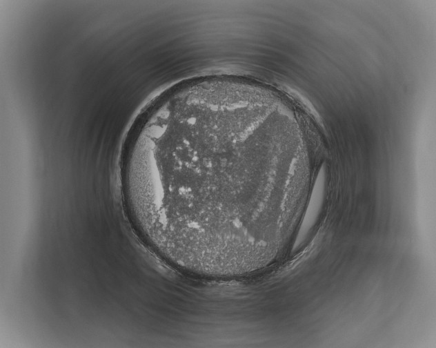 X0000112350784200909101042