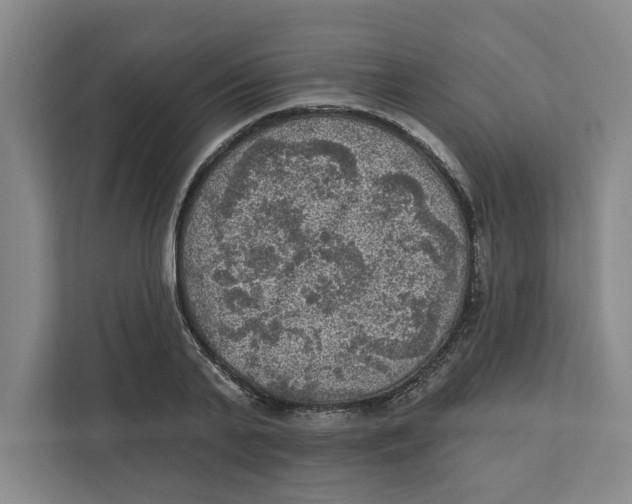 X0000112350791200909101042