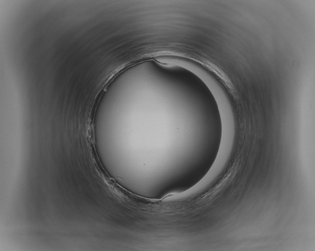 X0000112350793200909101042