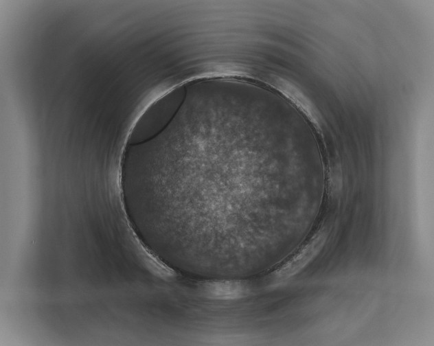 X0000112350797200909101042