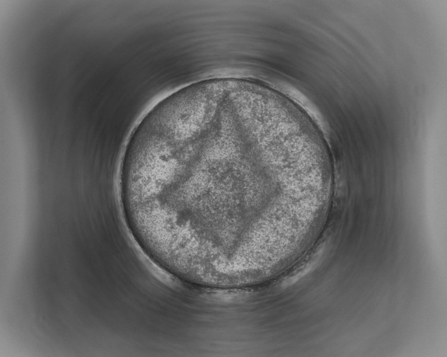 X0000112350803200909101042