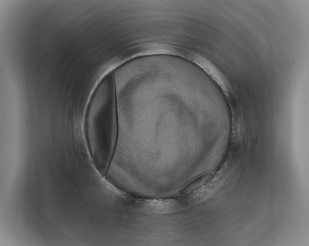 X0000112350805200909101042