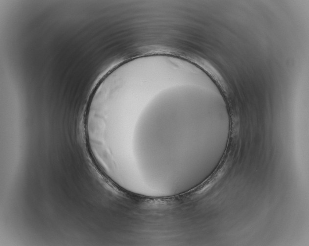 X0000112350806200909101042