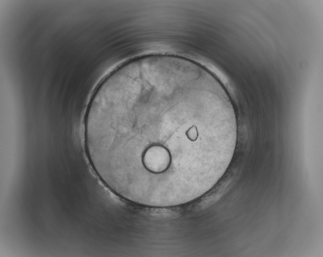 X0000112350807200909101042