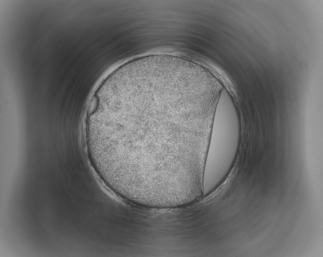 X0000112350808200909101042