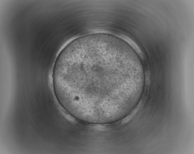 X0000112350814200909101042