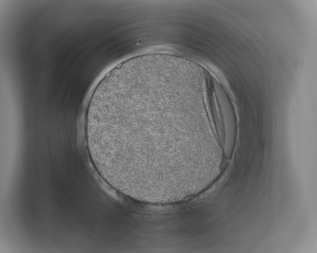 X0000112350816200909101042