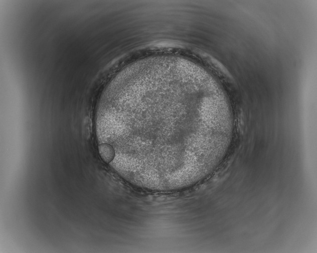 X0000112350821200909101041