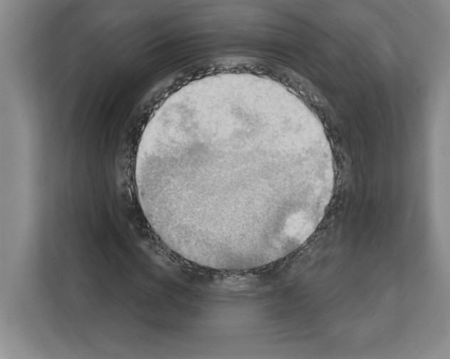 X0000112350824200909101041