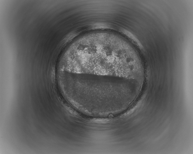 X0000112350825200909101041