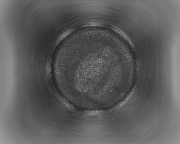 X0000112350826200909101041