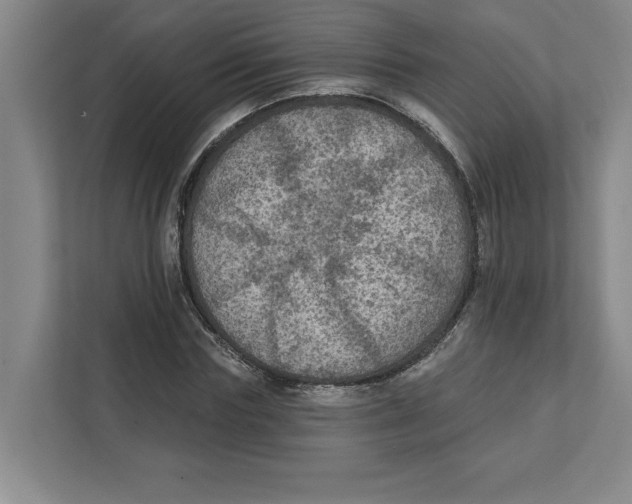 X0000112350827200909101041