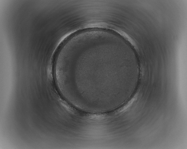 X0000112350830200909101041