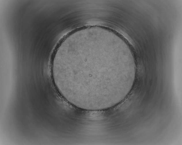 X0000112350832200909101041