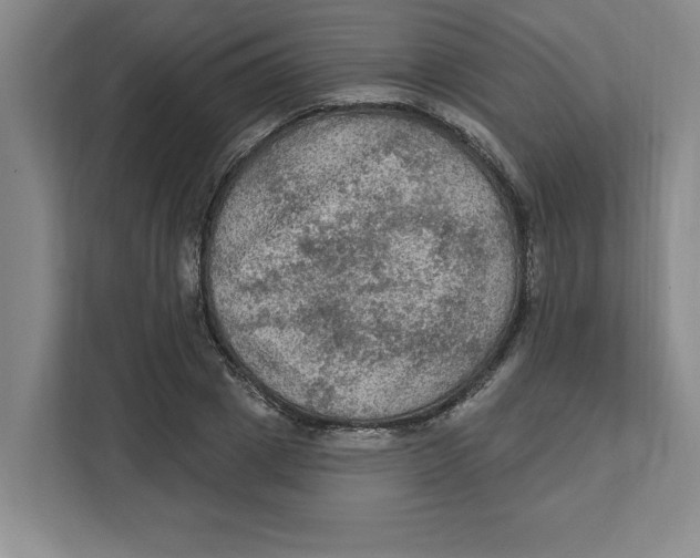 X0000112350833200909101041