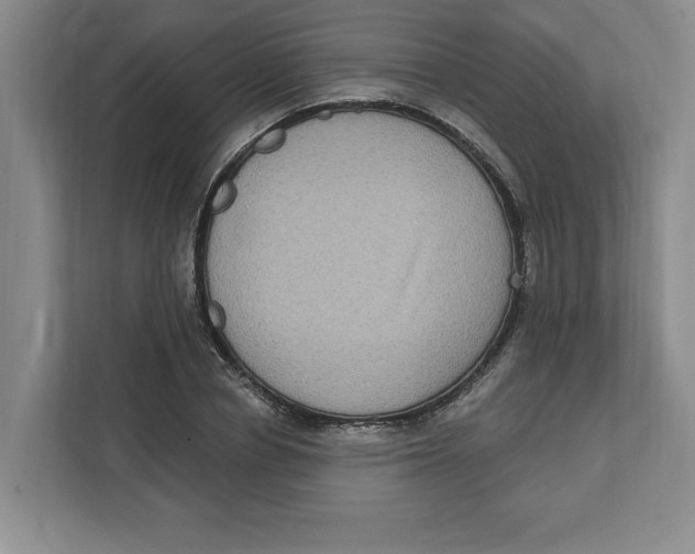 X0000112350834200909101041