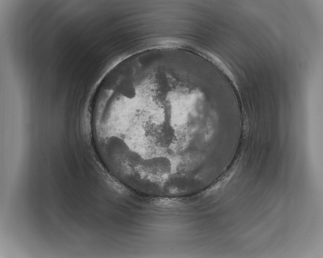 X0000112350835200909101041