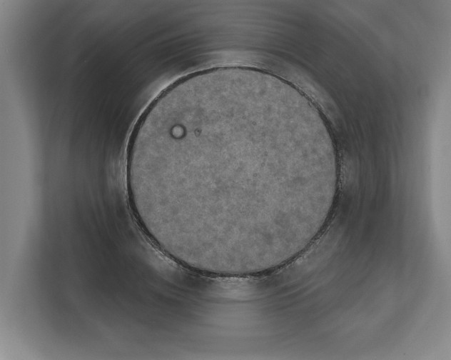 X0000112350836200909101041