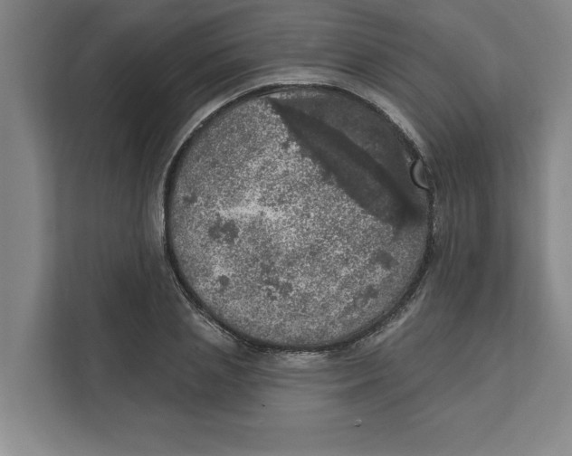 X0000112350837200909101041