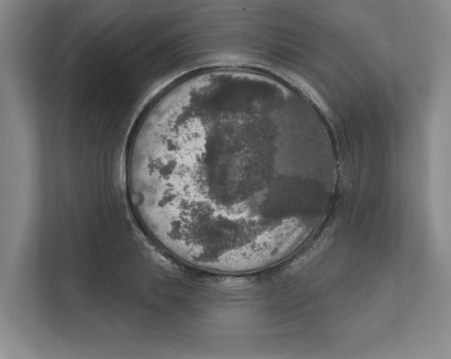 X0000112350839200909101041