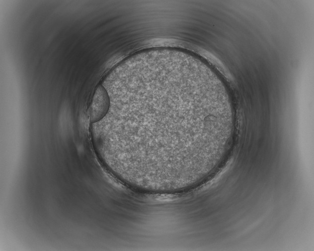 X0000112350841200909101041