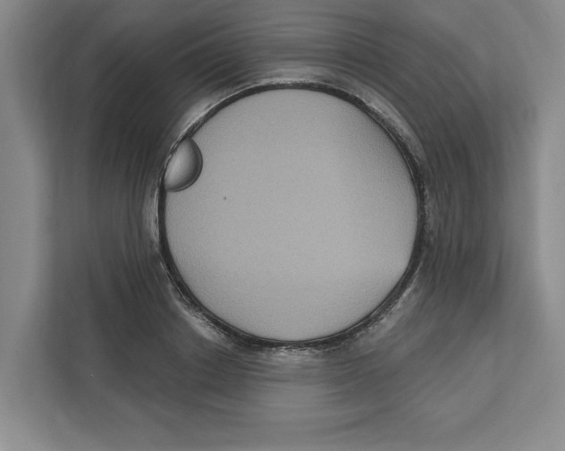 X0000112350842200909101041