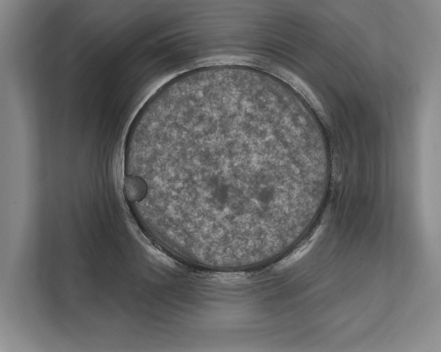 X0000112350844200909101041