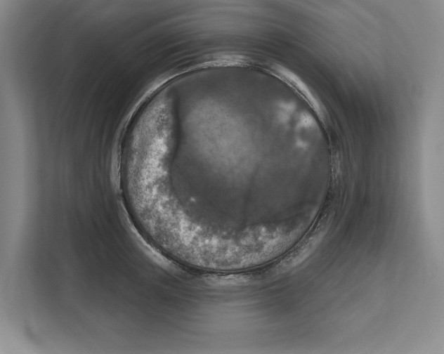 X0000112350851200909101042