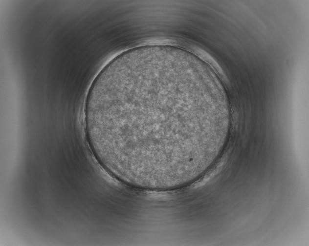 X0000112350852200909101042