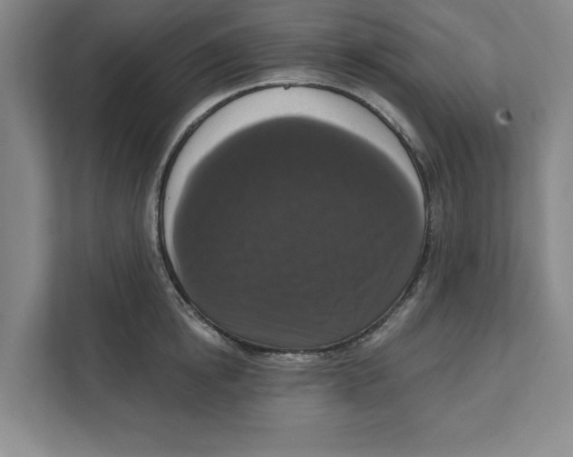 X0000112350854200909101042