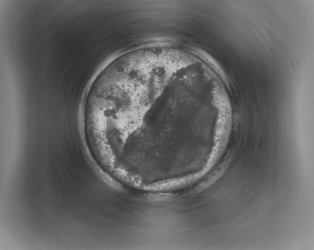 X0000112350859200909101042